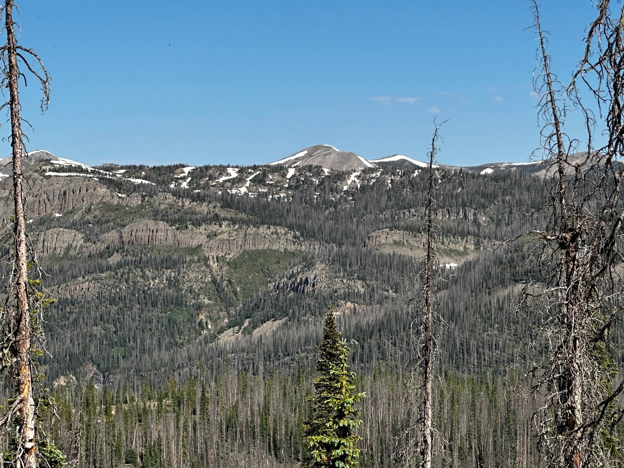 IMG_0947.jpg