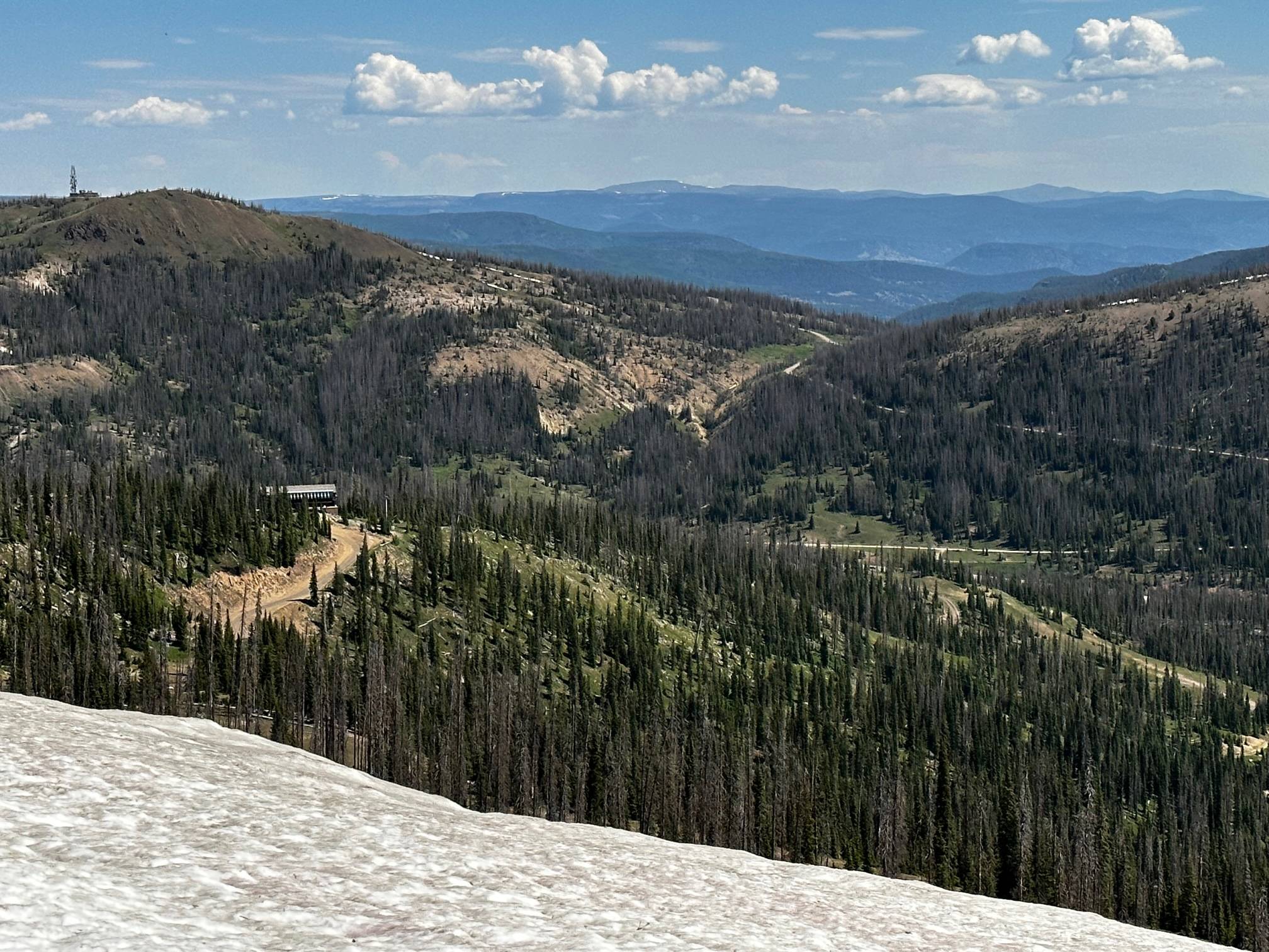 IMG_0987.jpg