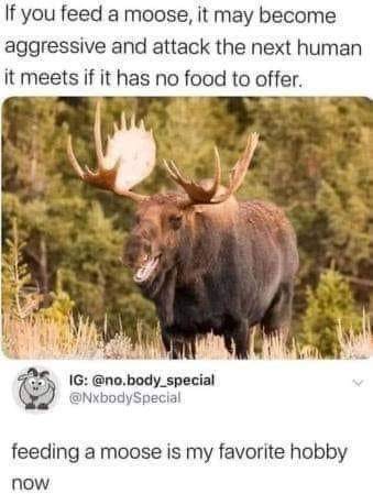 IMG_0285.jpeg