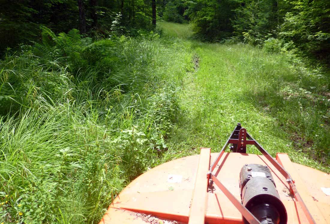 brtmow70403.jpg
