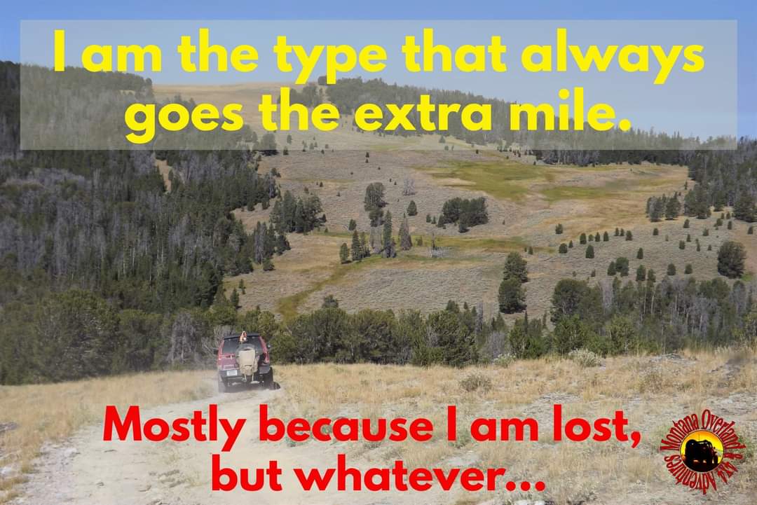 FB_IMG_1688869673229.jpg