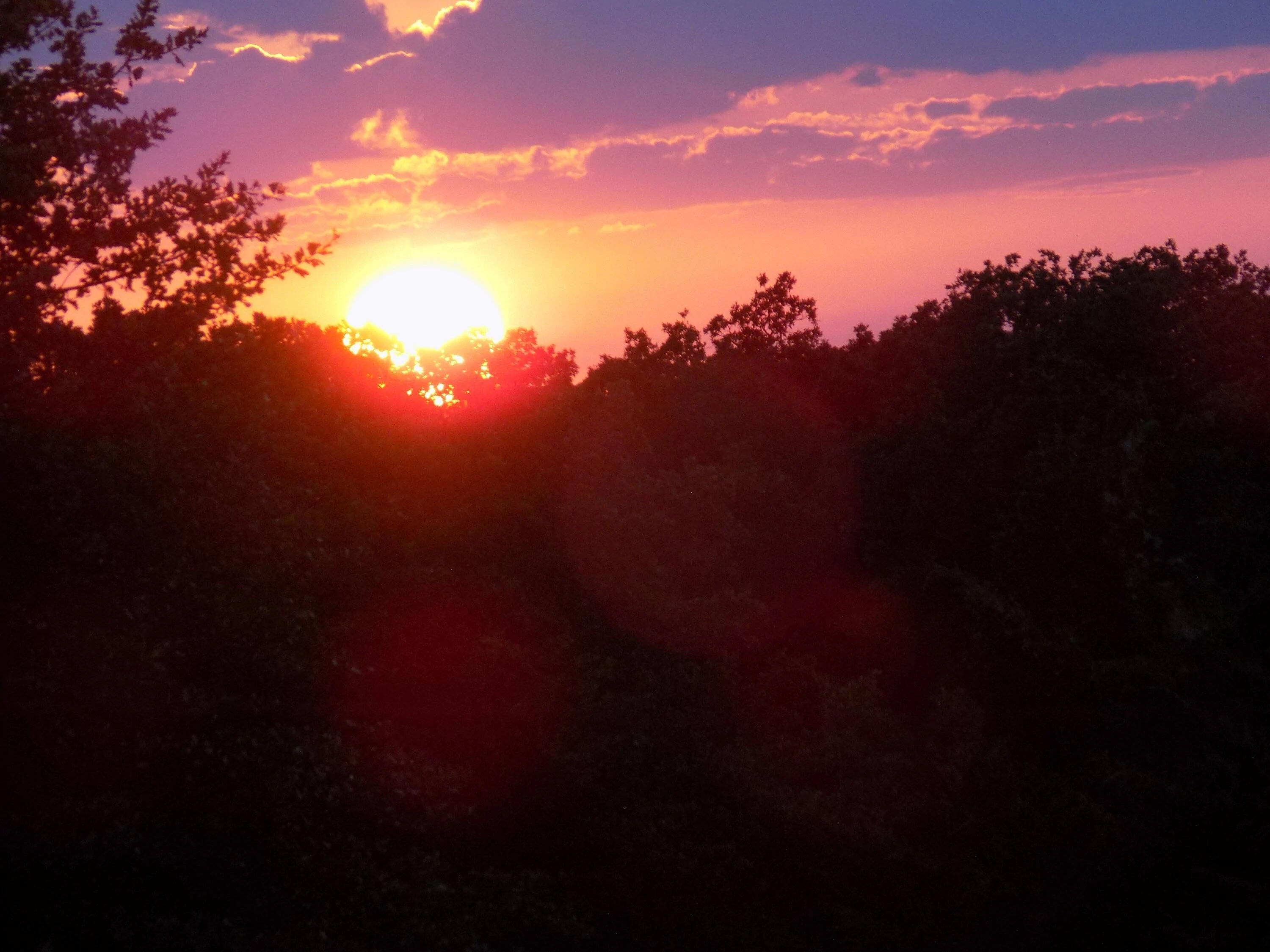 DSCN1382.webp