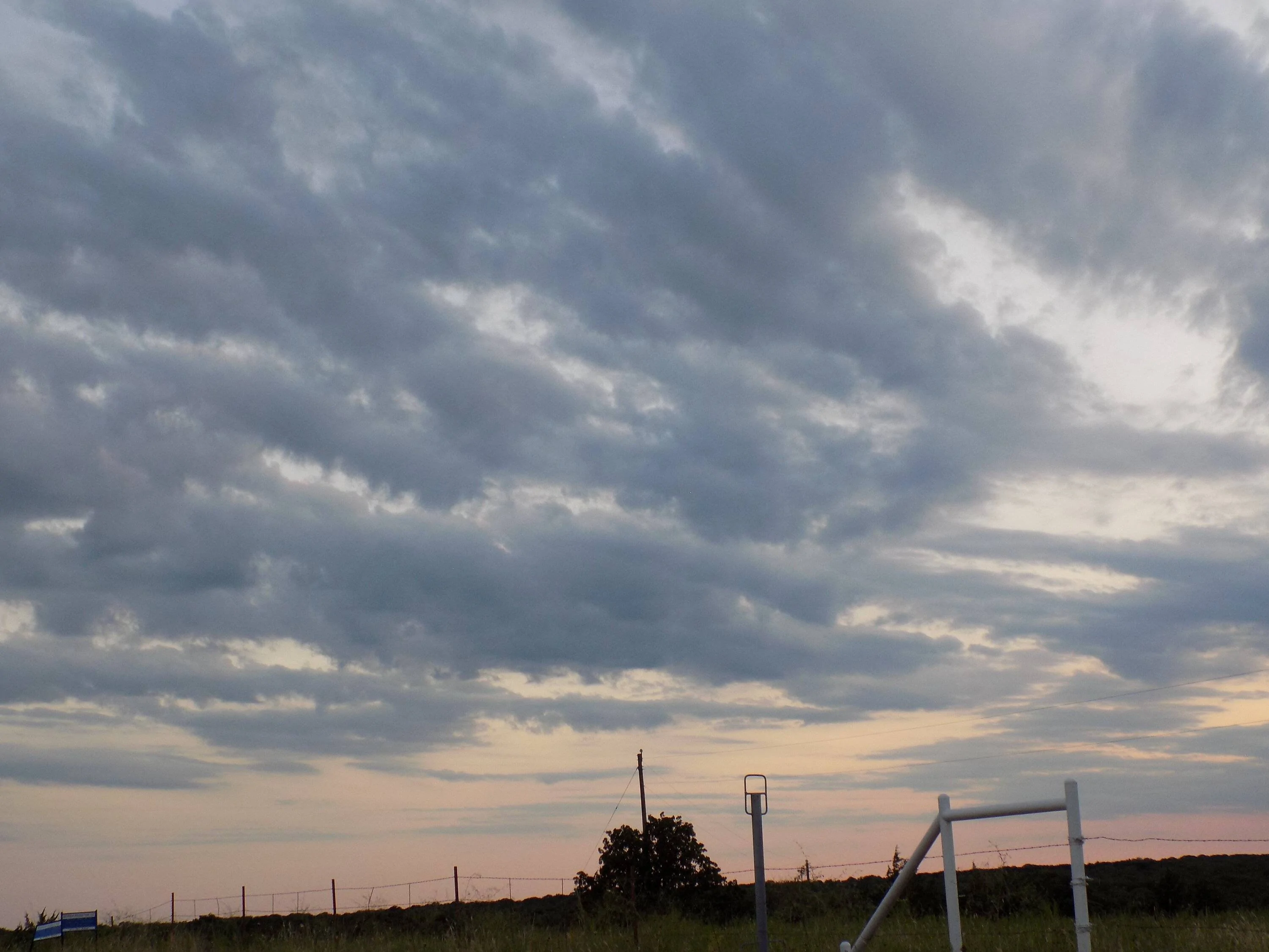 DSCN1385.webp