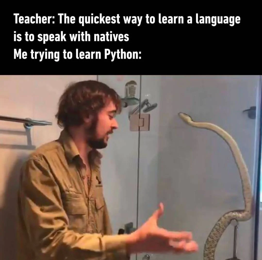 Python.webp