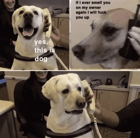 1689056301289.png