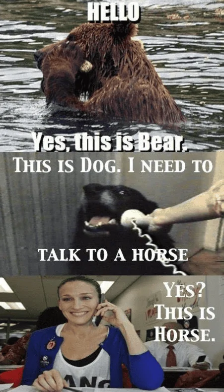 1689056378616.png
