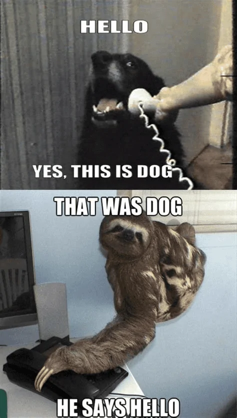 1689056420284.png