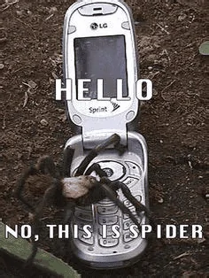 1689056433450.png