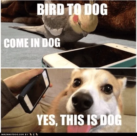 1689056444660.png