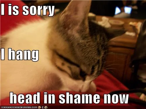 3a6b0363-2296-4d58-943b-591a9eff46ad.webp