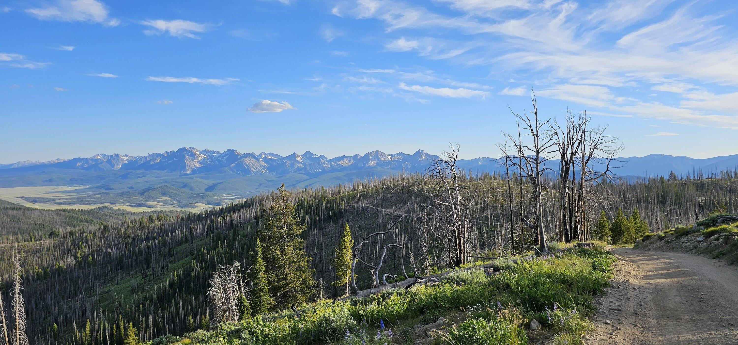 20230712_194355.jpg