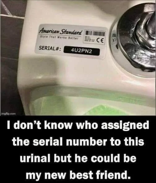Urinal.webp