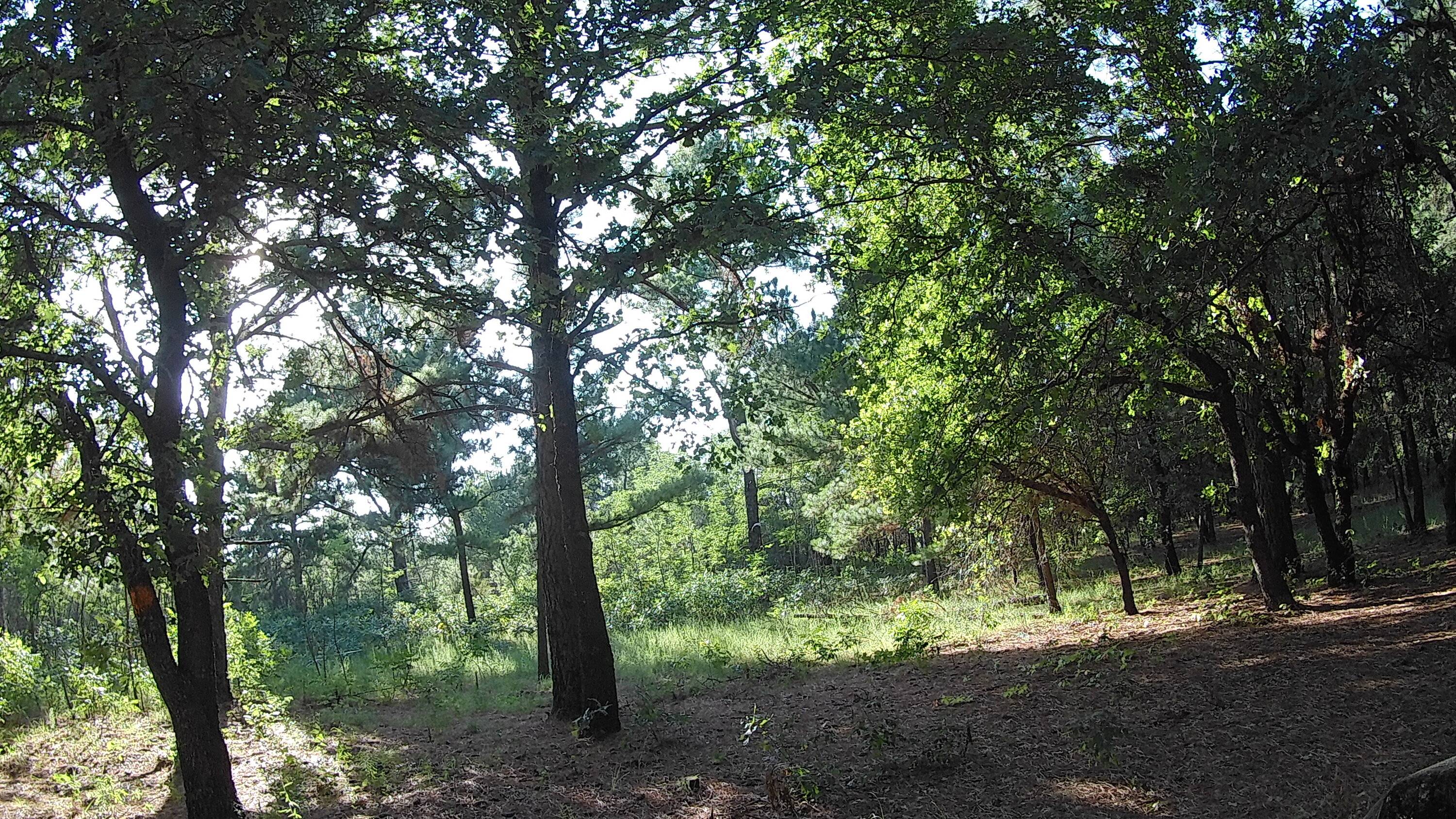 20230702_174947.JPG