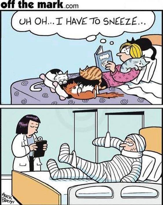 Sneeze.jpg