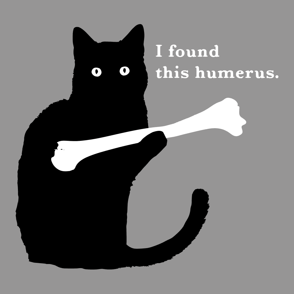 humerus_thumb (2).png