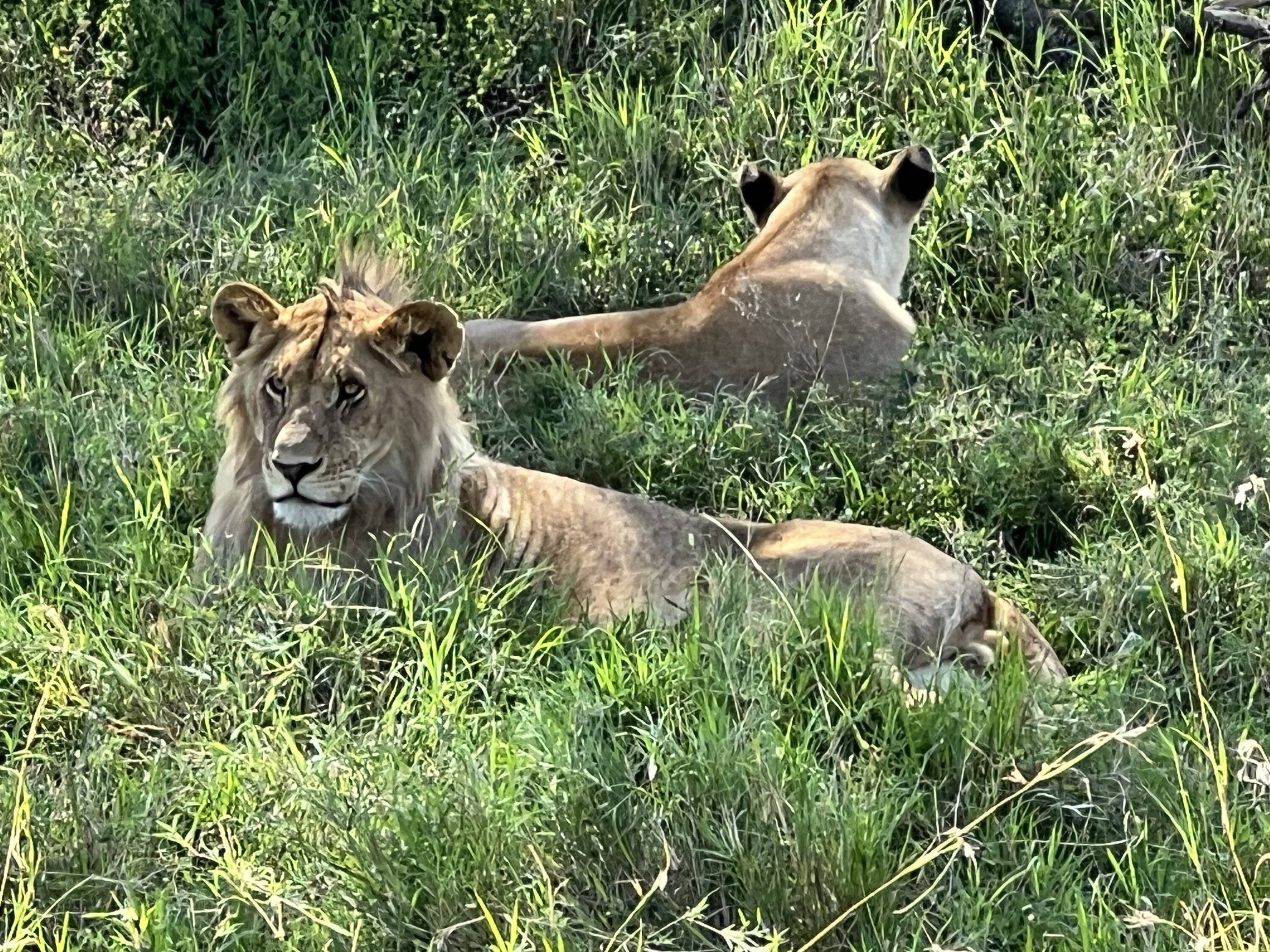 IMG_2083.jpeg