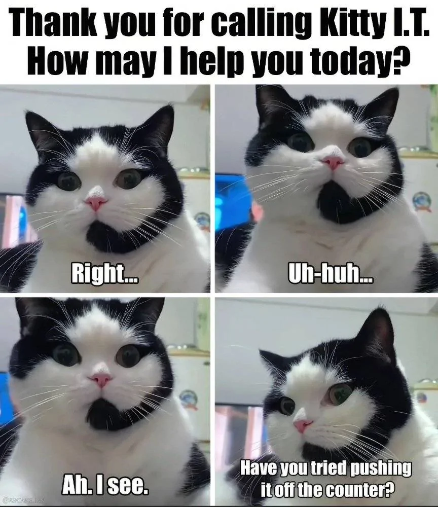 Kitty IT.webp