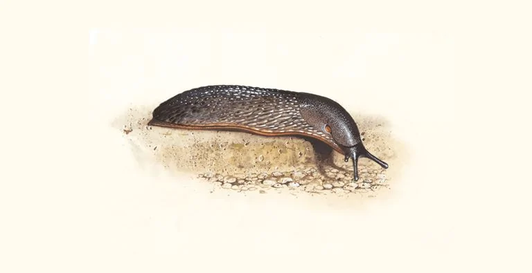 slug_1200x675 (1).webp