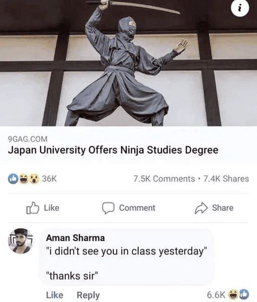 Ninja Studies.webp