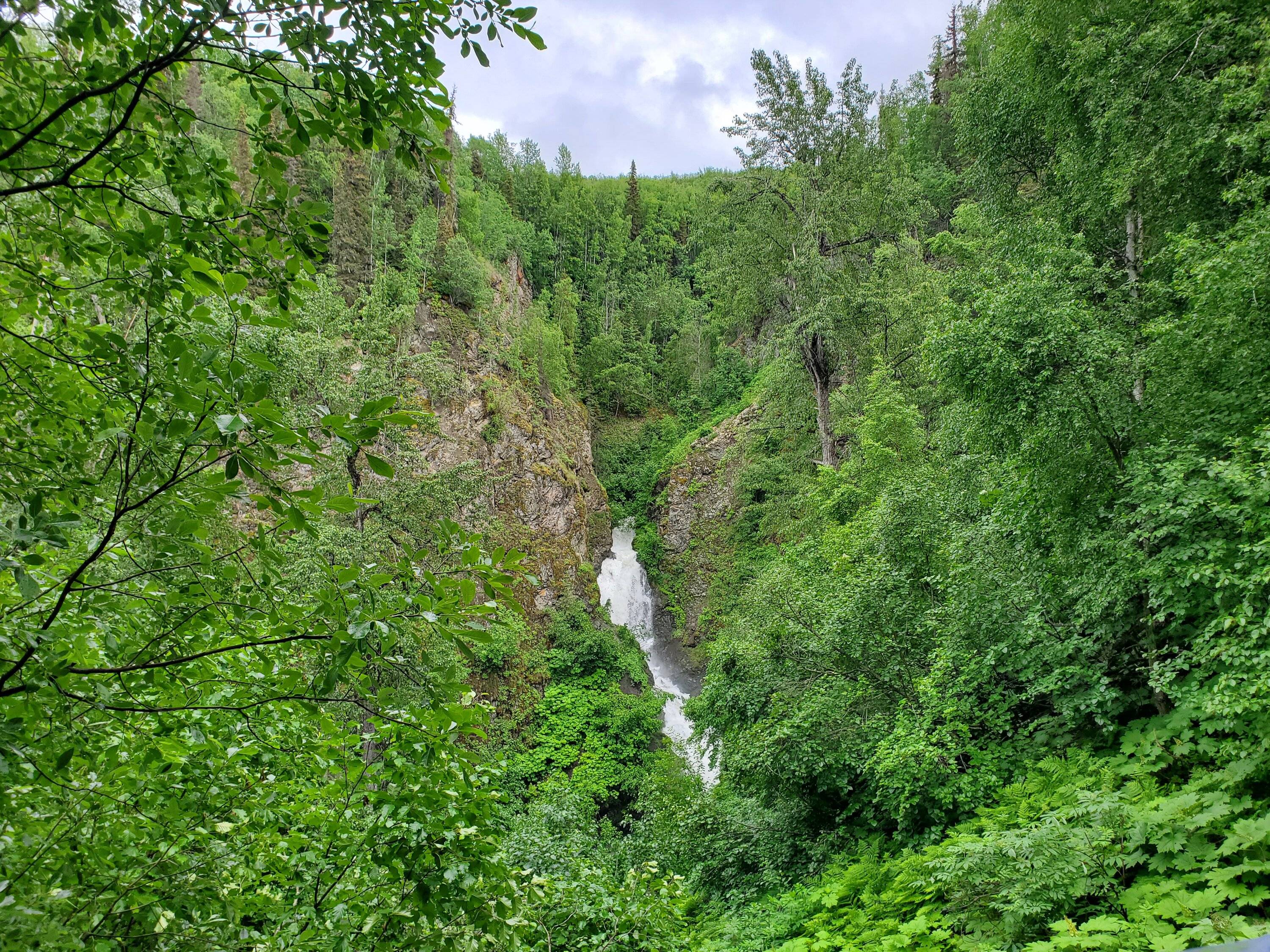 20230629_181646.jpg