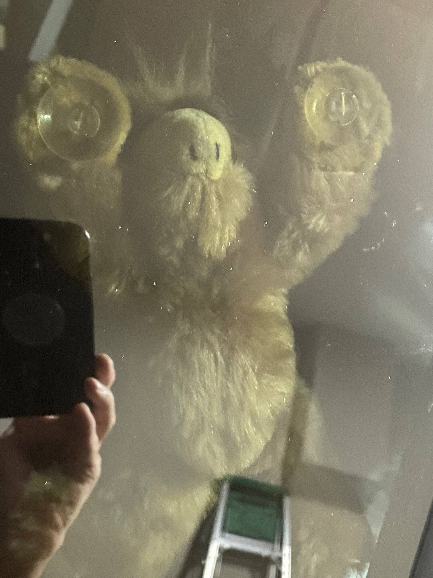 1690118002577.jpeg