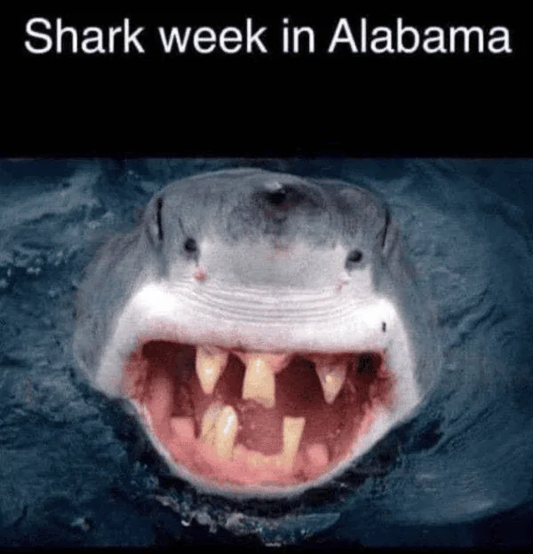 1690164162395.png
