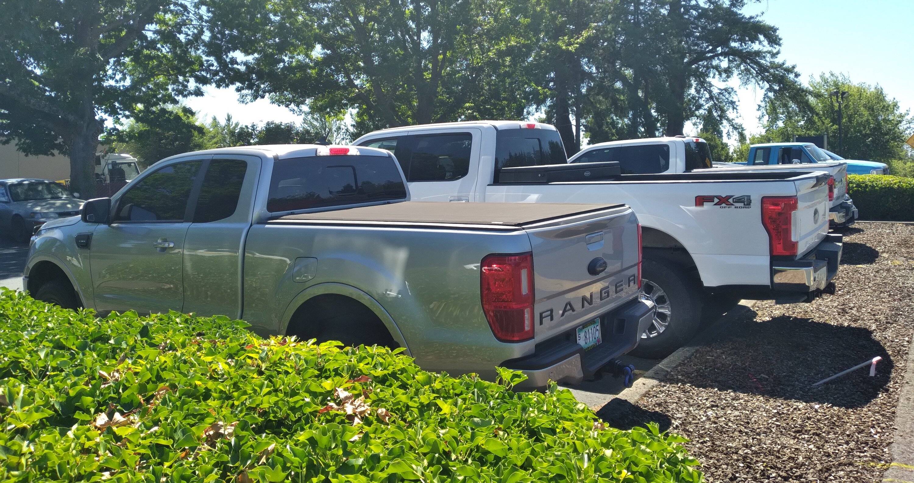 R vs F350 3.jpg