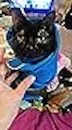 1690225305151.webp