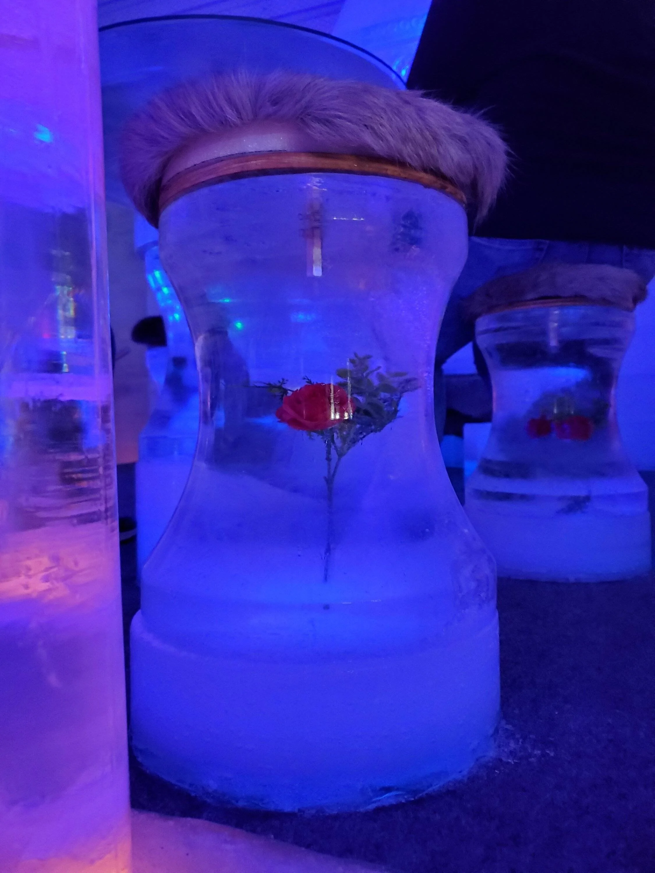 20230701_152648.jpg