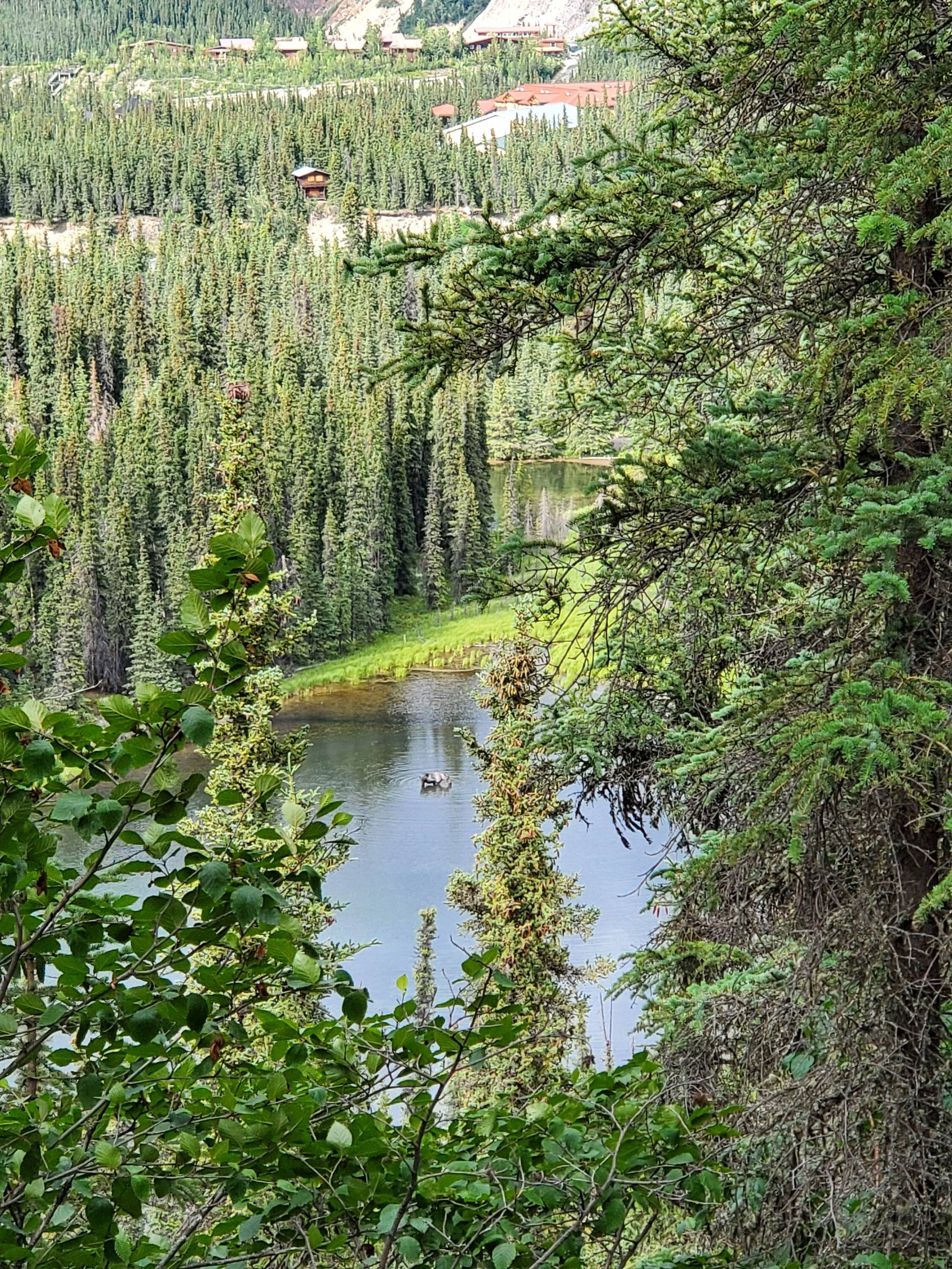 20230706_171947.jpg