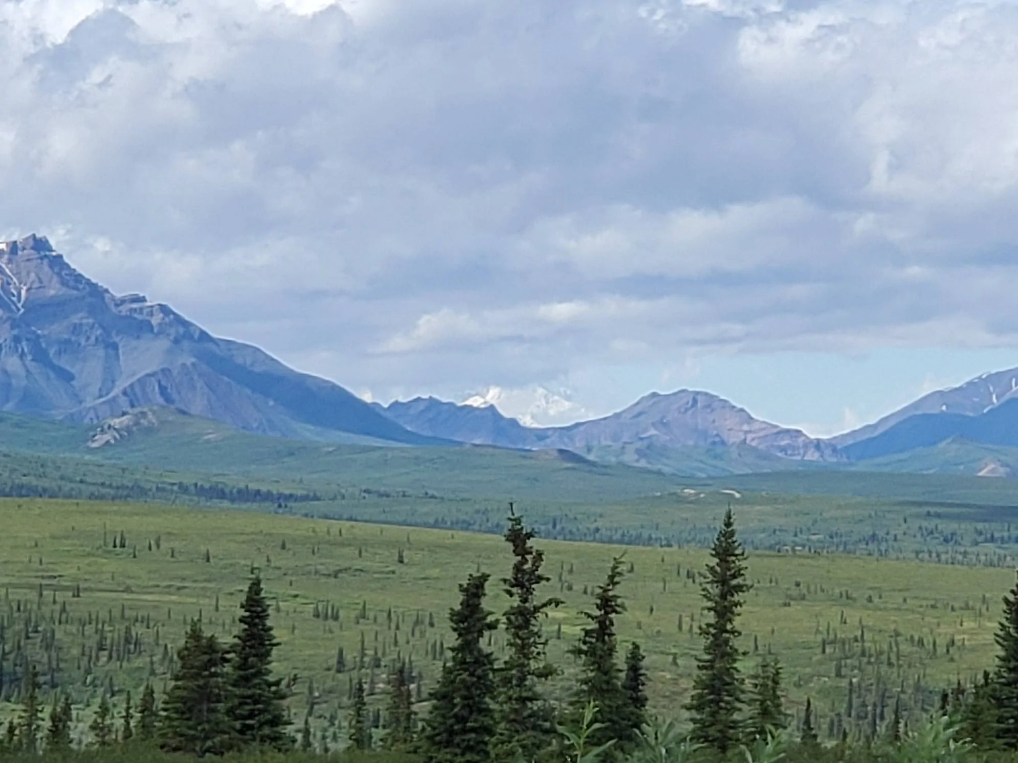 20230707_115518a.webp