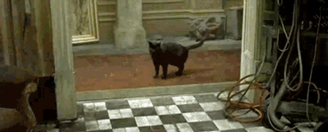 whoa-deja-vu-matrix-glitch.gif