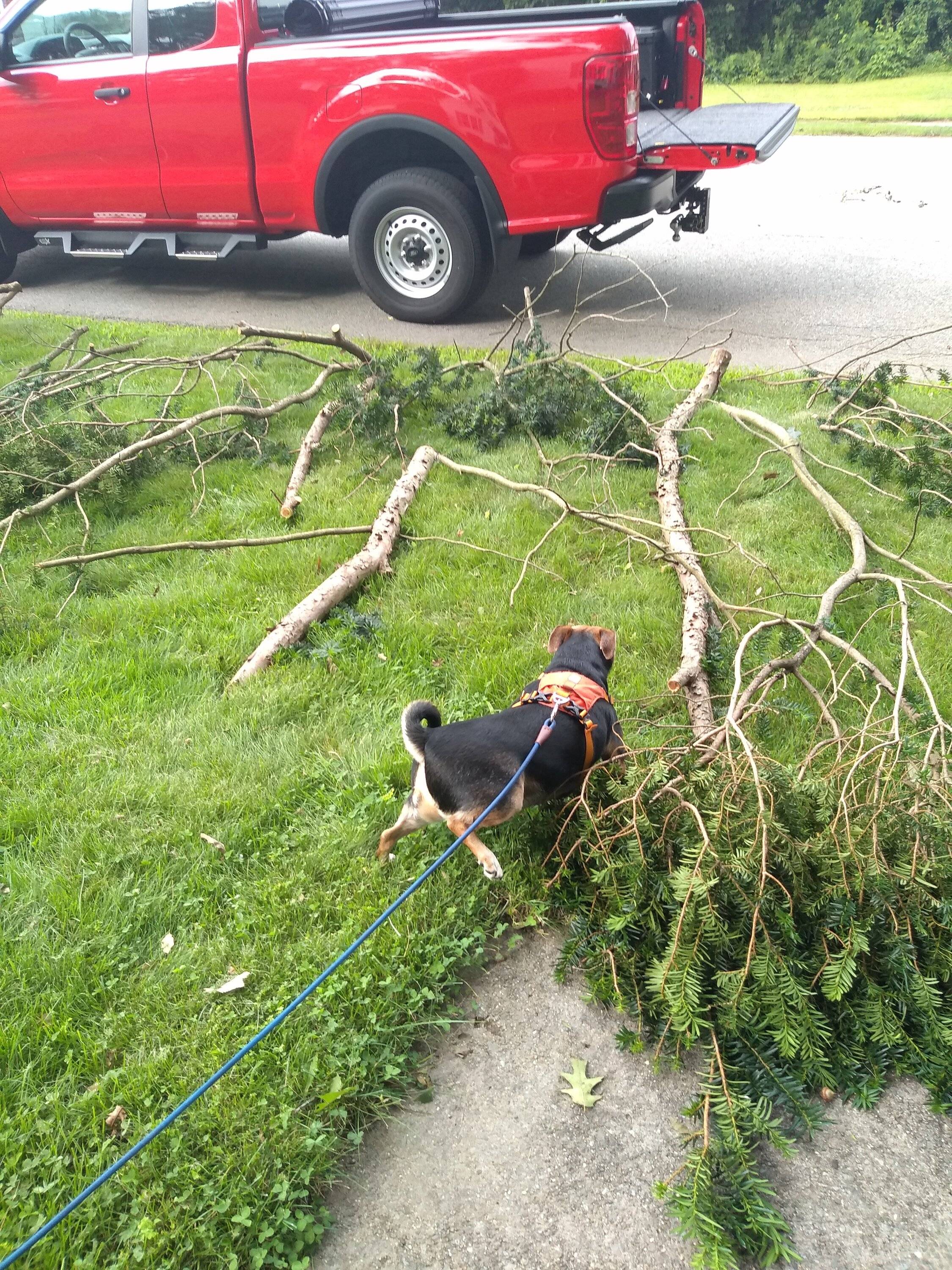 IMG_20230725_162340067.jpg
