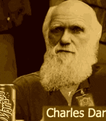 1690327384230.gif