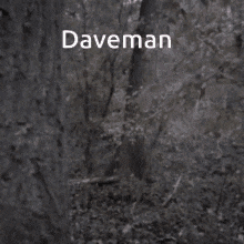 1690554415059.gif