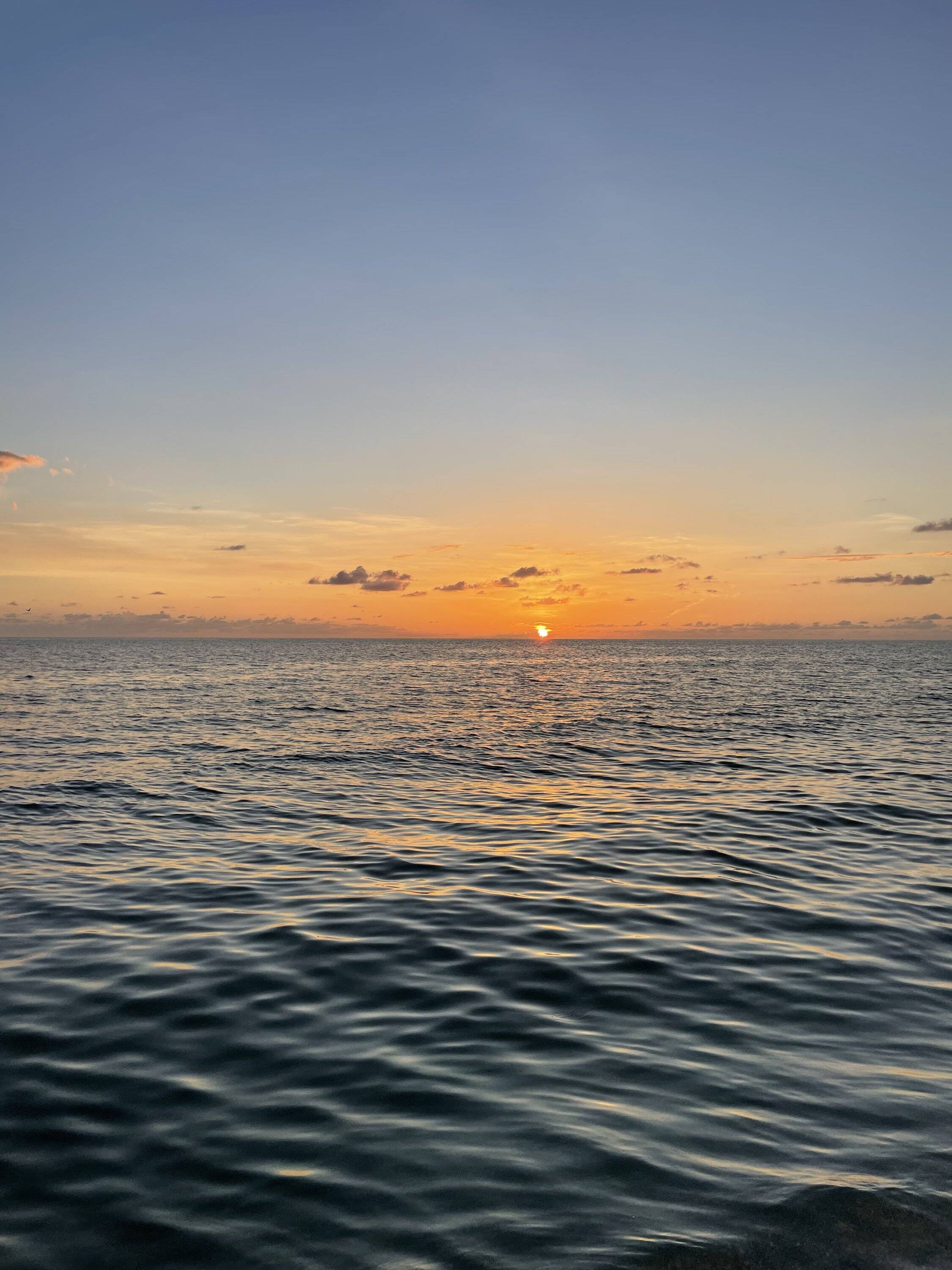 A0208E06-0EA0-485B-9BF2-D2F632936B79.jpeg