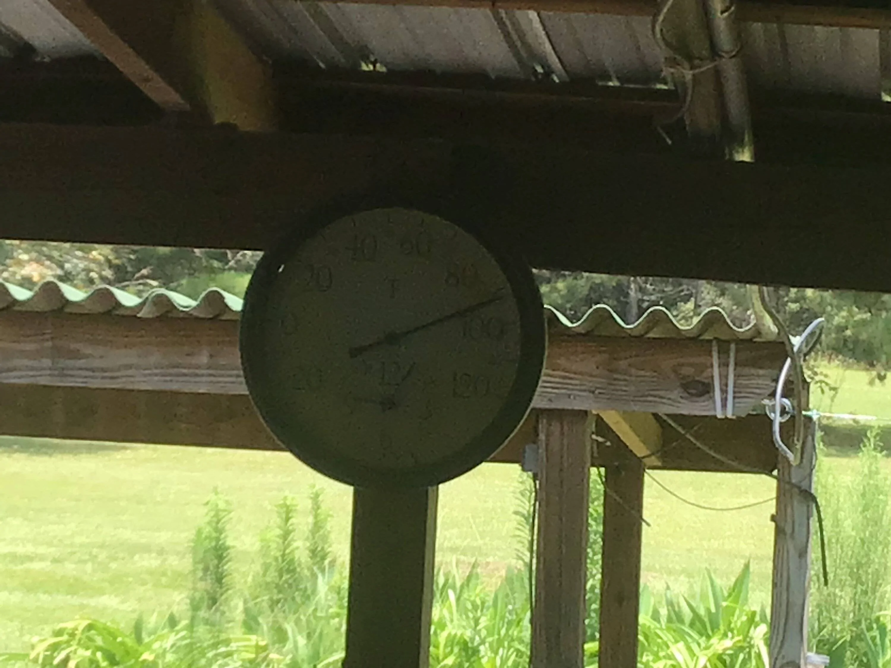 IMG_1325.jpeg