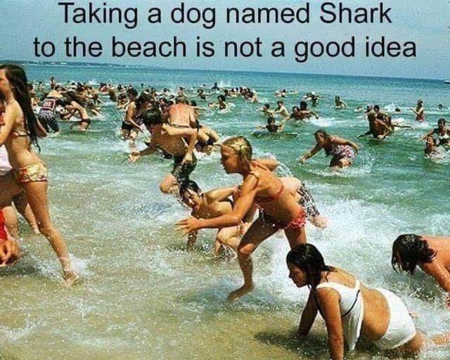 F622EA1F-BBBF-4C2D-ACB4-CC3F9D864367.jpeg
