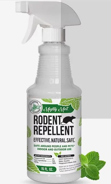 rodent 2.webp