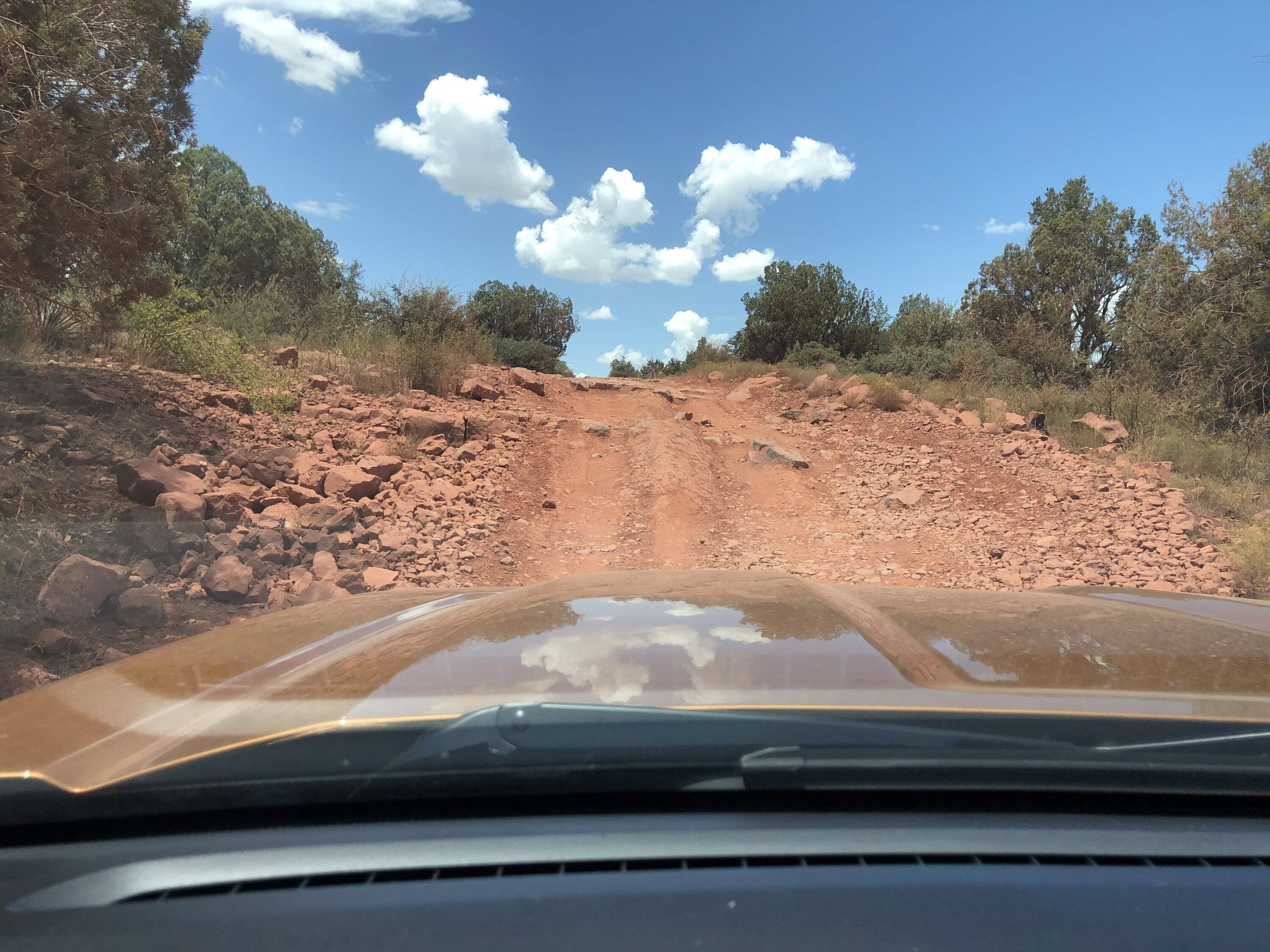 1691178212403.jpeg