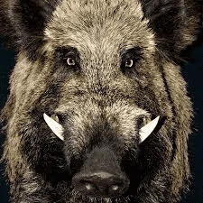 1691357581465.png