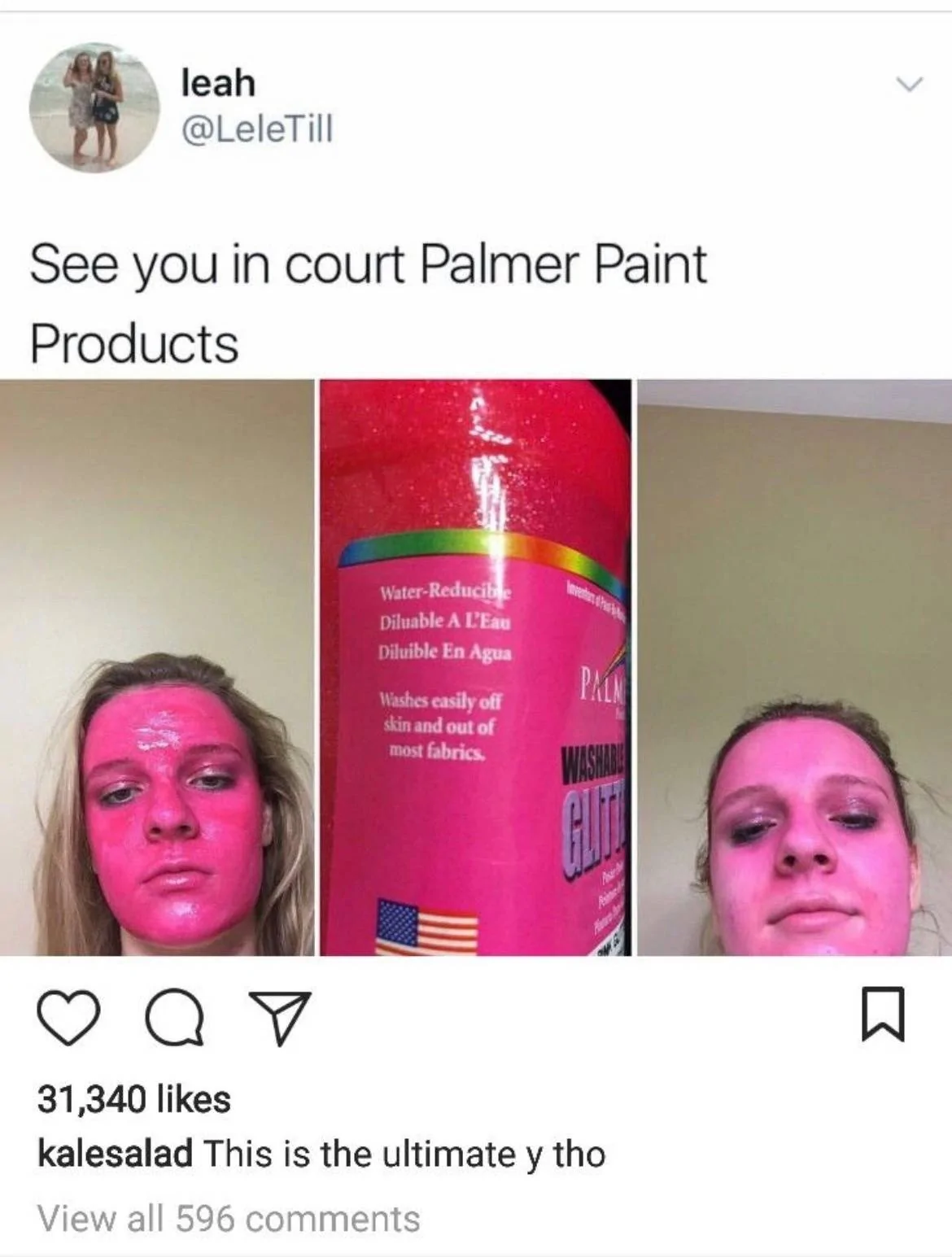 Palmer Paint.webp