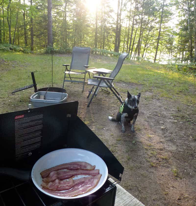 campbacon606.jpg