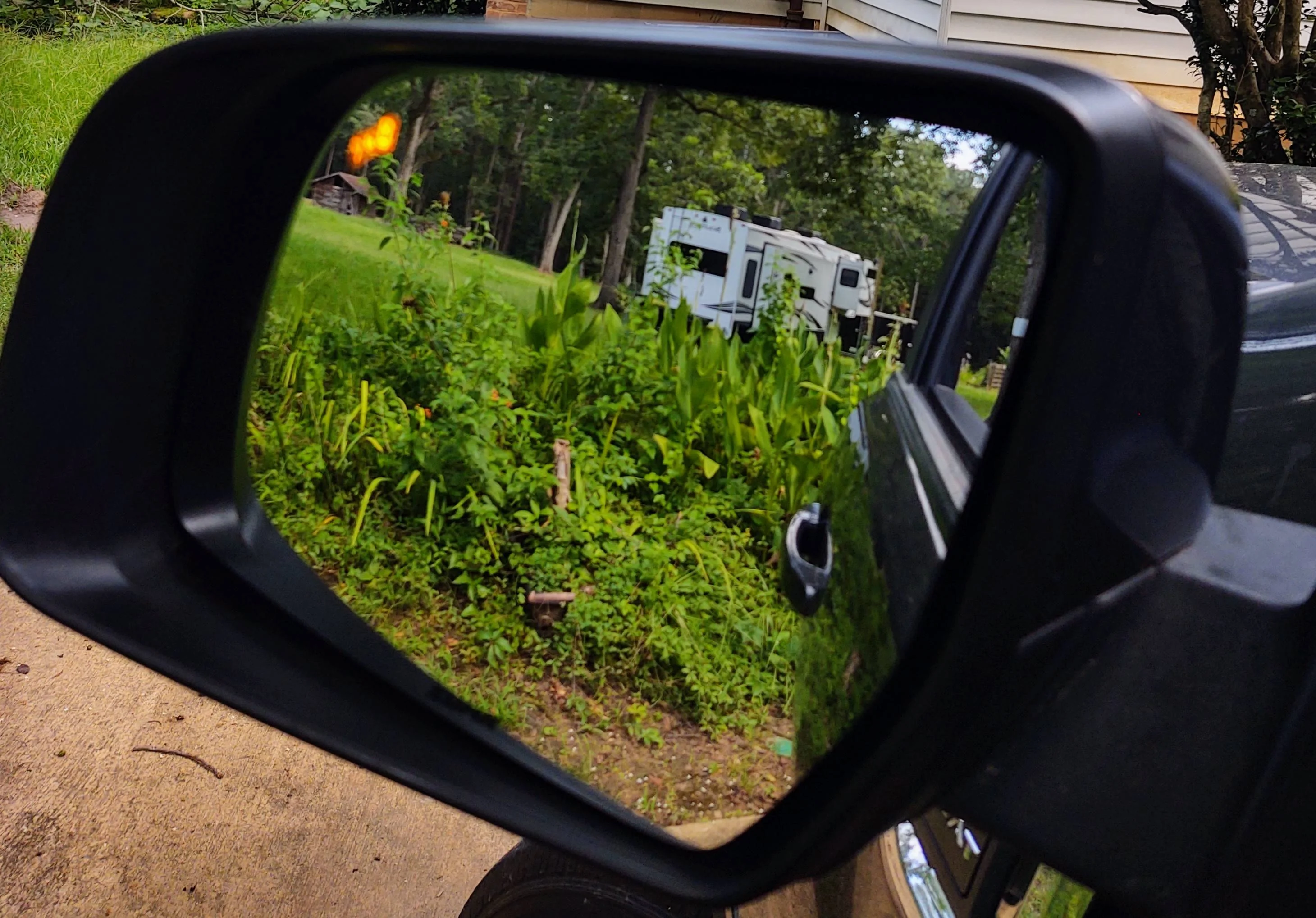 IMG_20230814_160722978_HDR~2.webp
