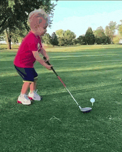 47ee0bb5698a10ec95f71d5709af51a3.gif