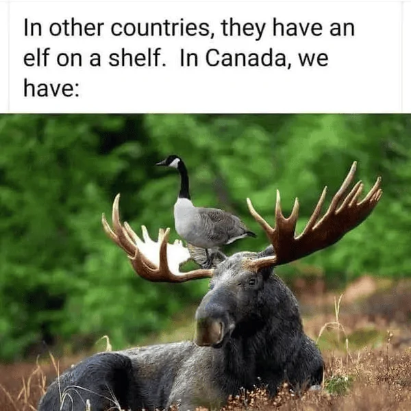 1692753865791.png