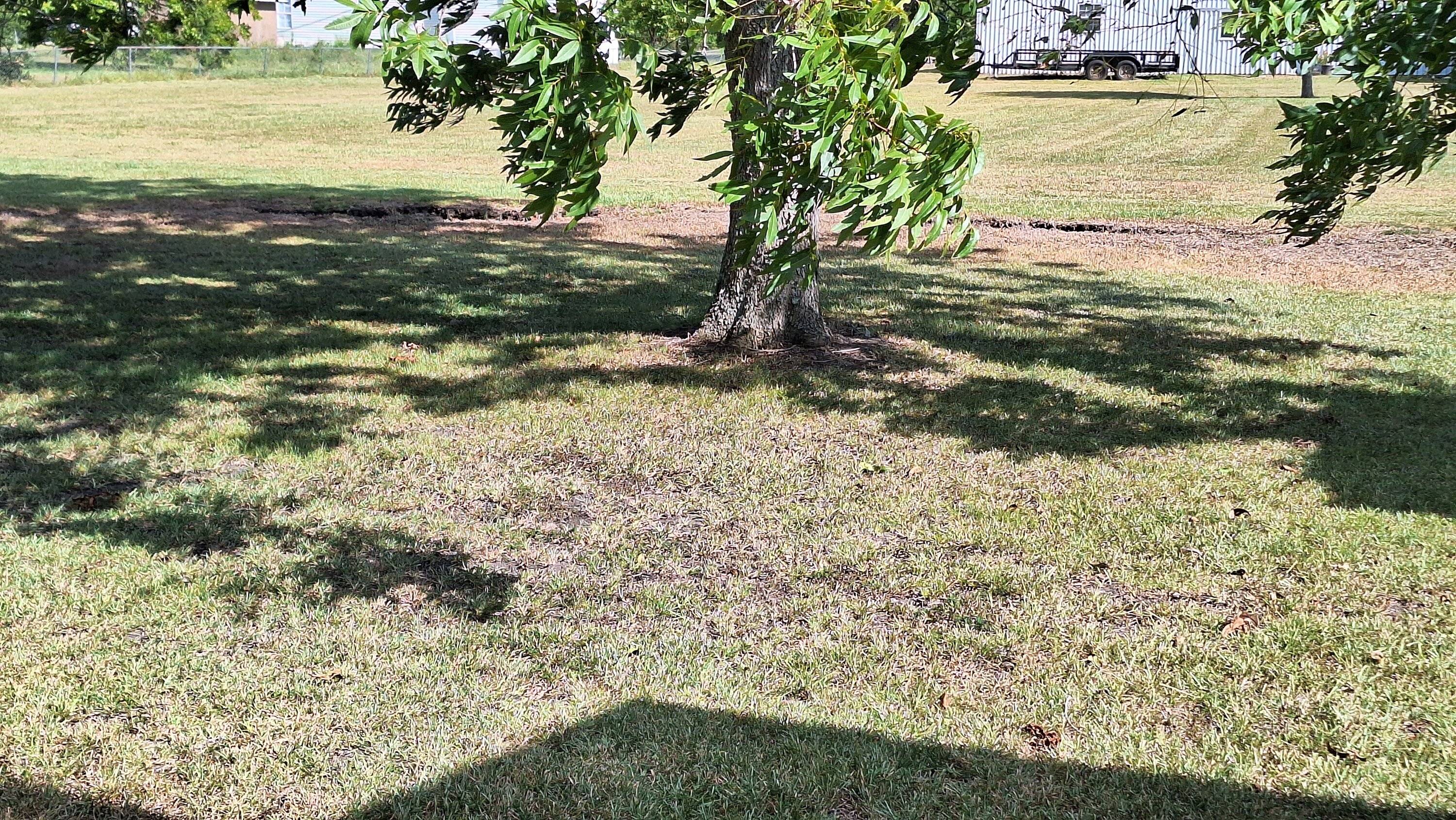 20230809_163850.jpg
