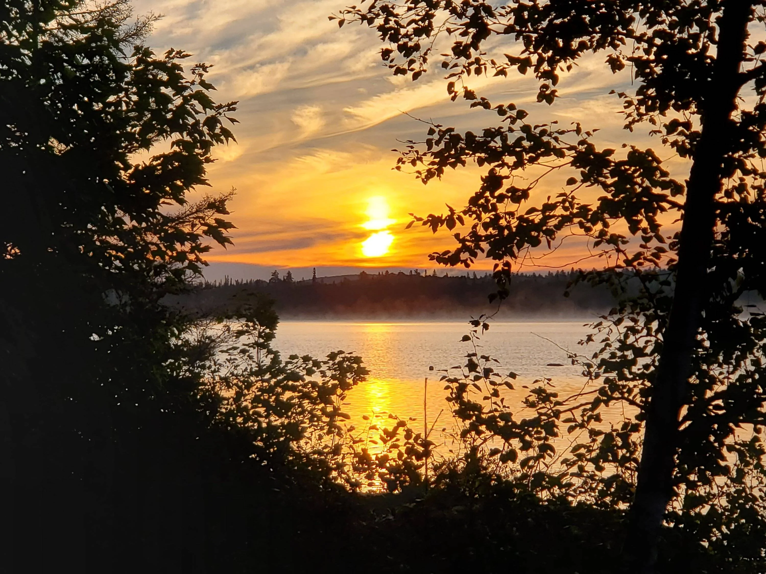 20230821_063339.webp