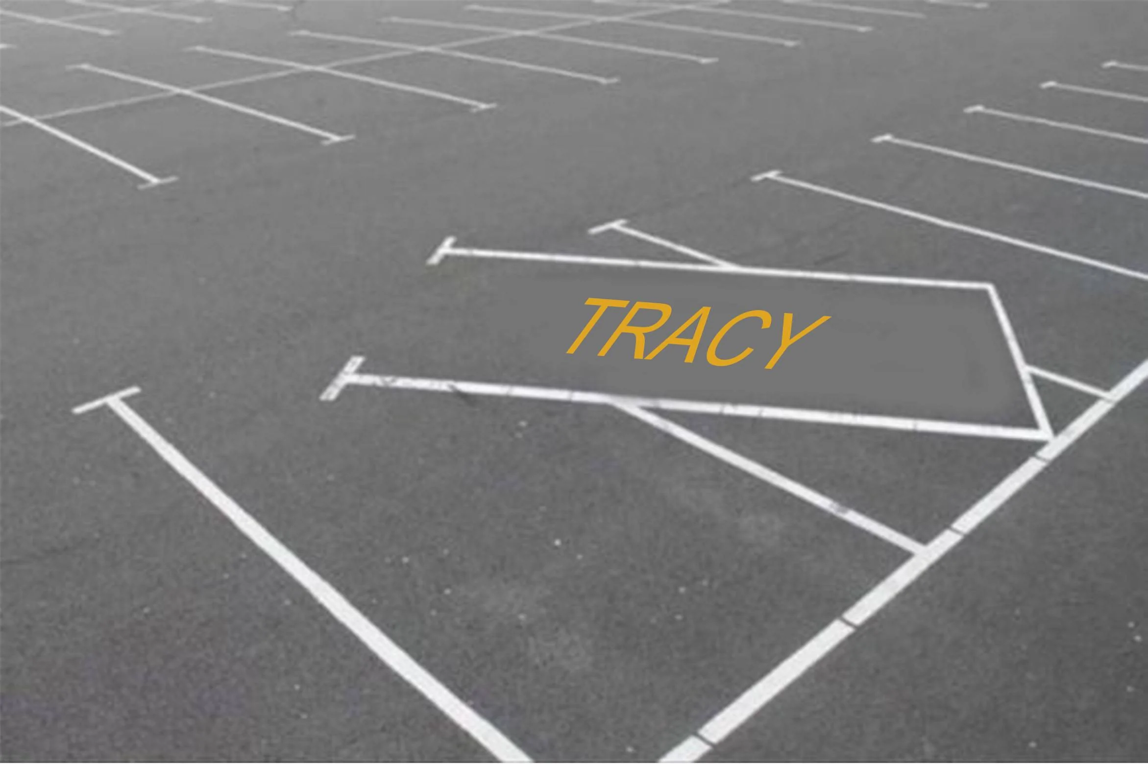 tracy.jpg