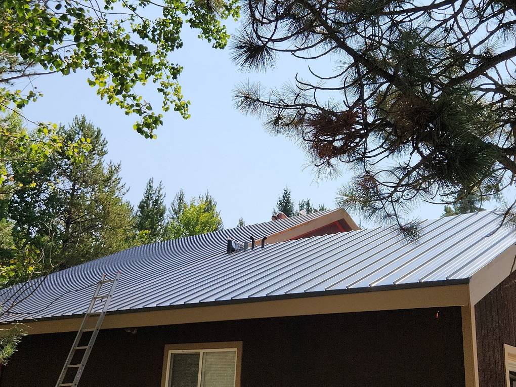 Roof north.jpg